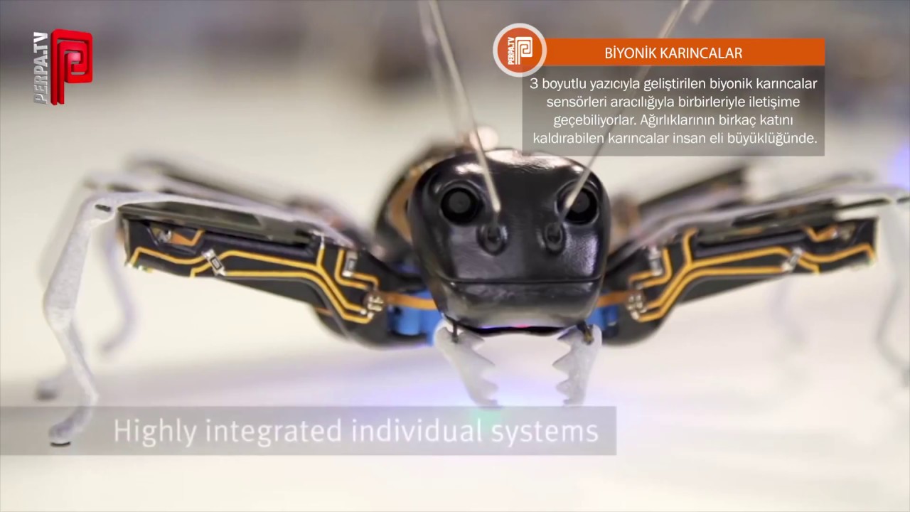Biyonik Karıncalar Yapay Zekalı İşçi Robot PERPA TV